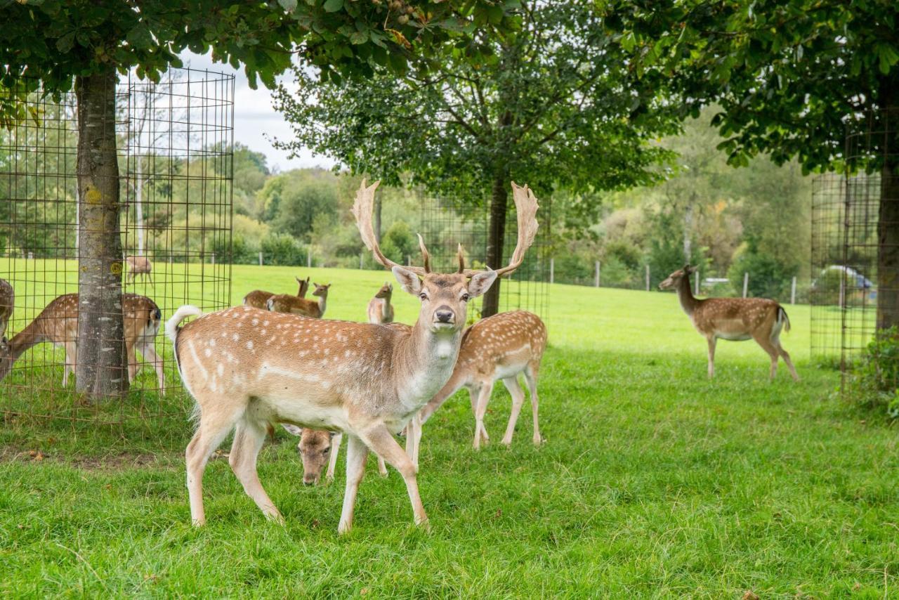 Hotel Hofgut Tiergarten آولندورف المظهر الخارجي الصورة